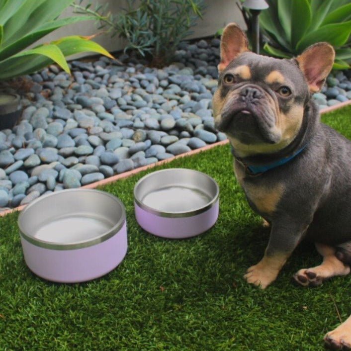 Tilley + Me Stainless Steel Pet Bowl – Non-Slip, Durable & Dishwasher Safe | 32oz and 64oz